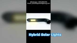 Lampadaire solaire avec panneau rond solaire de 200 W utilisé dans les routes urbaines.