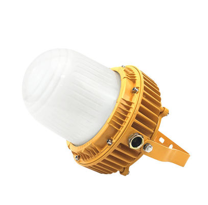 appareil d'éclairage anti-déflagrant portatif de lumière de 40W LED 5 ans de garantie AW-EPHB613
