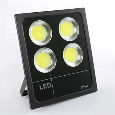 Lumière d'inondation portative d'IP65 LED, lumières d'inondation de paysage de LED 3000 - 5500K