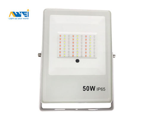 10w 20w 30w 50w 100w amincissent des lumières d'inondation de jardin de style en aluminium avec le logement noir