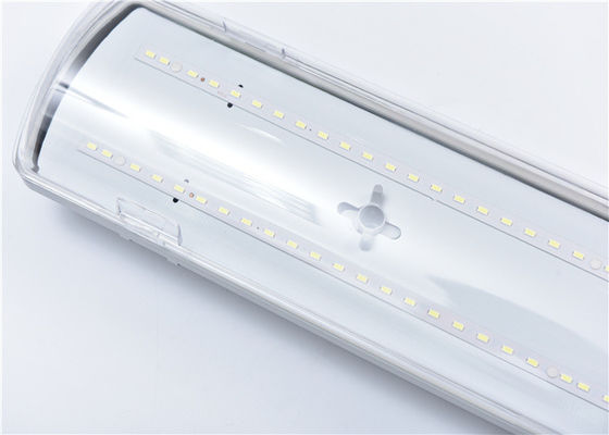 la preuve de vapeur de 1200mm 36W 2*36W a mené des lumières pour le tunnel/gare ferroviaire